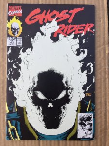 Ghost Rider #15 (1991)