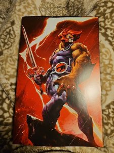 THUNDERCATS #2 (2024) IVAN TAO 1:40 VIRGIN VARIANT- PREORDER NM