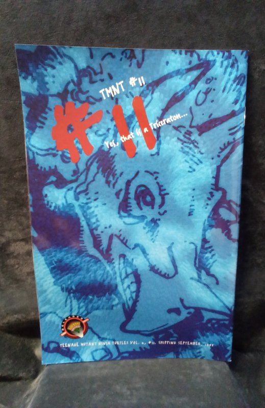 Teenage Mutant Ninja Turtles #10 (1995)