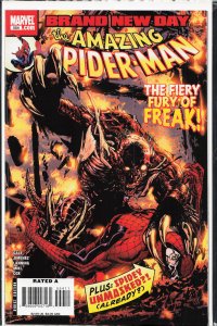 The Amazing Spider-Man #554 (2008)