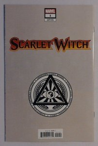Scarlet Witch #1 (Marvel, 2024) DAVID NAKAYAMA Unknown 616 Comics Virgin Variant