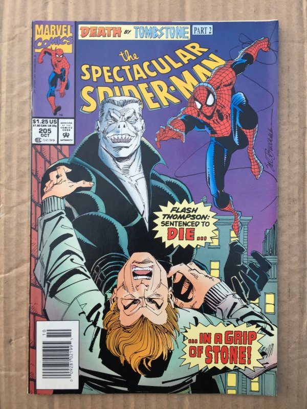 The Spectacular Spider-Man #205 (1993)