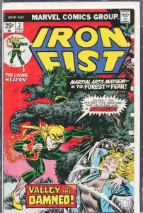 Iron Fist #2 (1975) Iron Fist