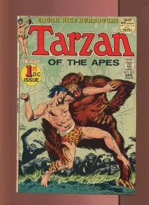 (1972) Tarzan #207 - 1ST DC ISSUE - ORIGIN OF THE APE-MAN! (8.5)