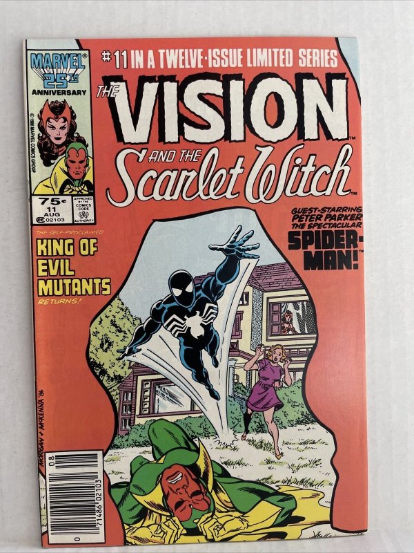 The Vision And The Scarlet Witch #11 Newsstand