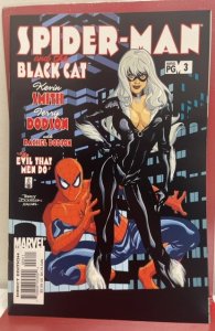 Spider-Man/Black Cat: The Evil that Men Do #3 (2002)