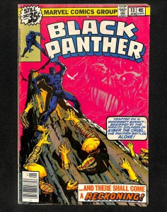 Black Panther #13