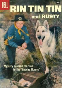 Rin Tin Tin #22, Fine+ (Stock photo)