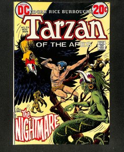 Tarzan #214