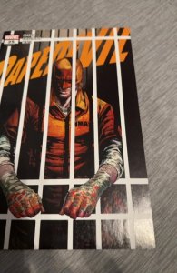 Daredevil #25  Elektra becomes the New Daredevil Checchetto Cover MCU?