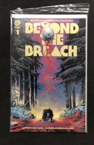 Beyond the Breach #1 Variant Cover (2021)