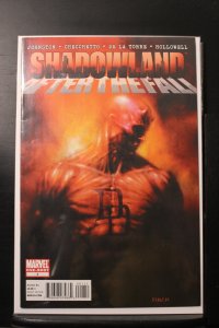 Shadowland: After the Fall (2011)