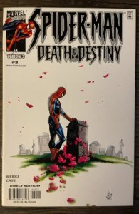 Spider-Man: Death and Destiny #2 (2000)