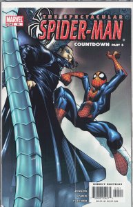 Spectacular Spider-Man #10 (2004) Spider-Man