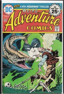 Adventure Comics #437 (1975) The Spectre