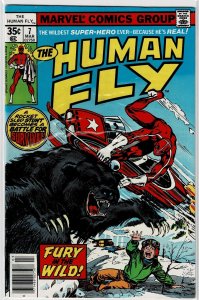 The Human Fly #7 (1978) VF (8.0) Human Fly attacks a bear to save a child (a)