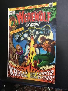 Werewolf by Night #8 (1973) high-grade 1st Krogg! VF- Wow! Ploog art!