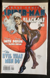 Spider-Man/Black Cat: The Evil that Men Do #1 (2002)