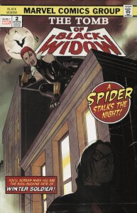 Black Widow #2 Swaby Cover (2020) Black Widow