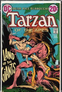 Edgar Rice Burroughs' Tarzan #211 (1972)