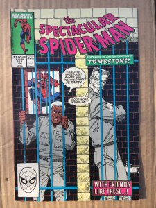 The Spectacular Spider-Man #151 (1989)