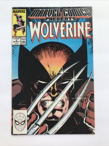 Marvel Comics Presents #2