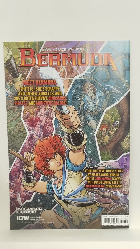 Teenage Mutant Ninja Turtles #119 1:10 Incentive Variant 2021 IDW Comics