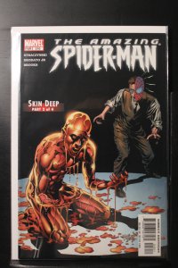 The Amazing Spider-Man #516 (2005)