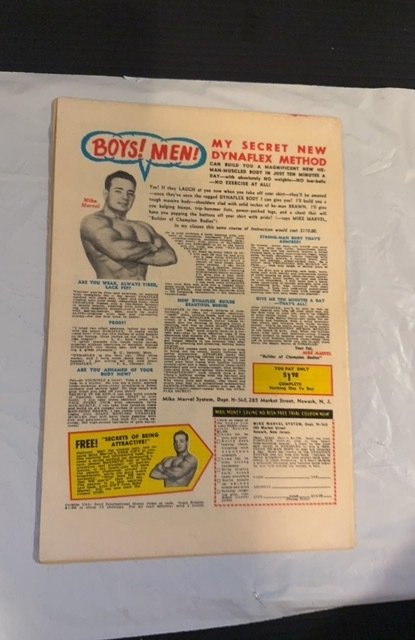 The X-Men #18 (1966)if icemba should fail -Magnato