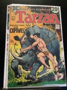 Tarzan #212 (1972)