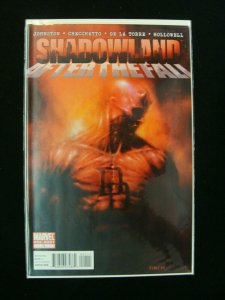 Shadowland After The Fall #1 One-Shot Daredevil Marvel