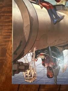 Spider-Man #3  (2016)