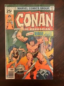 Conan the Barbarian #65 (1976) - FN/VF