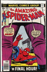 The Amazing Spider-Man #164 (1977) Spider-Man