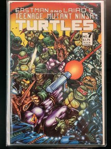 Teenage Mutant Ninja Turtles Color Classics #7 (2013)