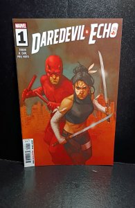 Daredevil & echo #1 (2023)