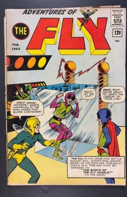Adventures of the Fly #24 (1963)