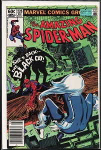 The Amazing Spider-Man #226 (1982) Spider-Man