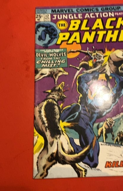 Jungle Action #12 (1974)black panther vs killmonget