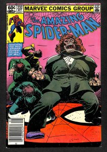 The Amazing Spider-Man #232 (1982)