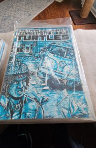 Teenage Mutant Ninja Turtles #3