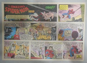 Spiderman Sunday by Stan Lee & John Romita from 11/13/1977 Size: 11 x 15 inches