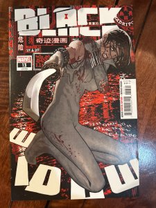 Black Widow #13 (2022)