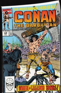 Conan the Barbarian #238 (1990) Conan