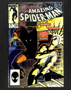 The Amazing Spider-Man #256 (1984)