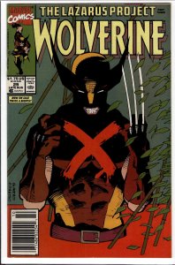 Wolverine #29 (1990) Wolverine