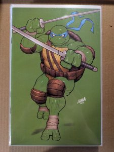 Teenage Mutant Ninja Turtles #3 Cover J (2024)