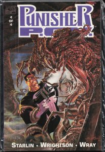 The Punisher: P.O.V. #4 (1991) Punisher