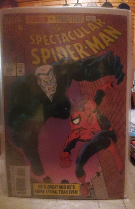 The Spectacular Spider-Man #204 (1993)