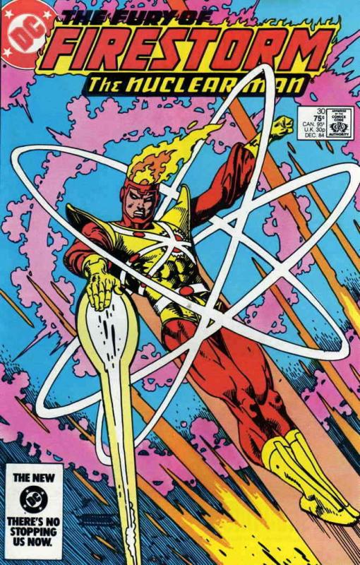 Fury of Firestorm, The #30 VF; DC | save on shipping - details inside